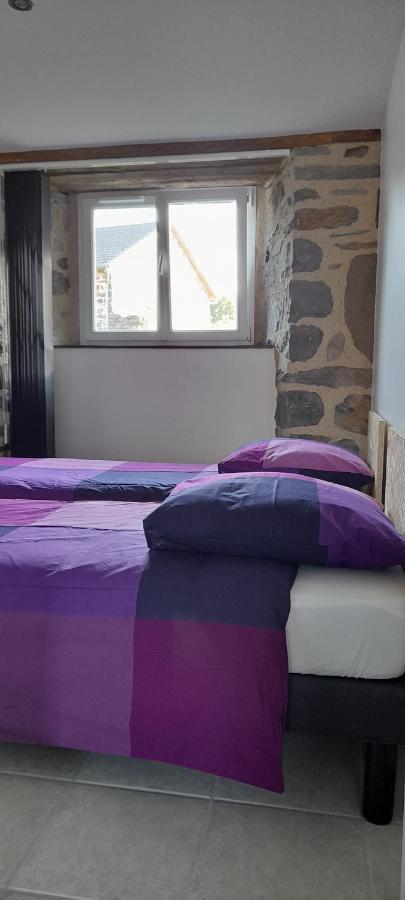 Apartamento Chez Nave Au Pied Du Meygal *