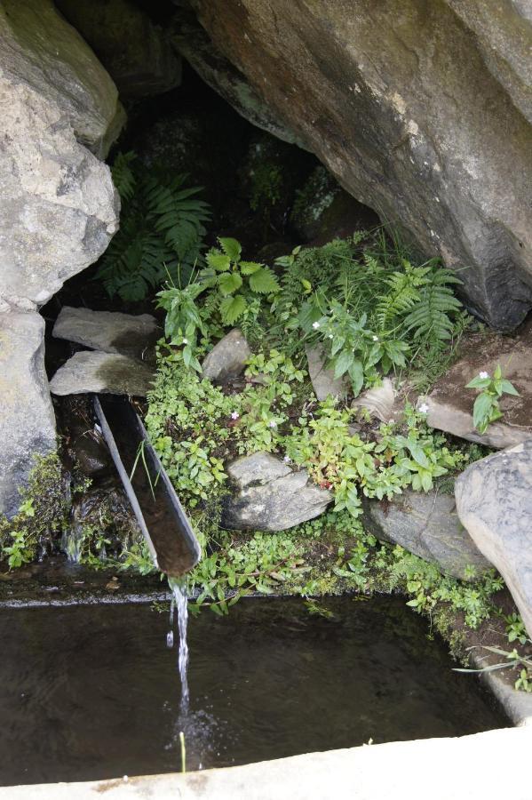 Chez Nave Au Pied Du Meygal Boussoulet